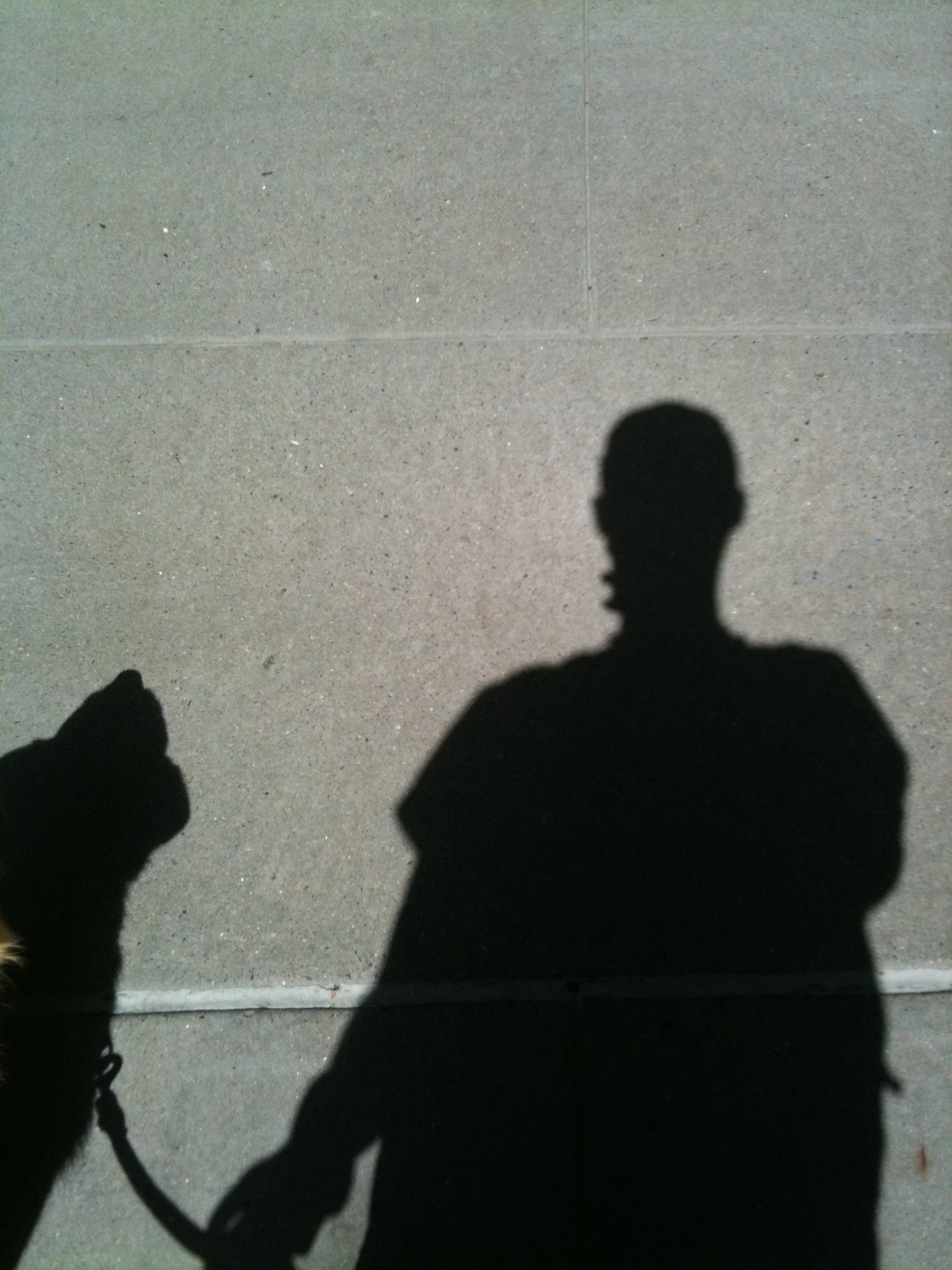 Luke DogWalker — happy dog 56