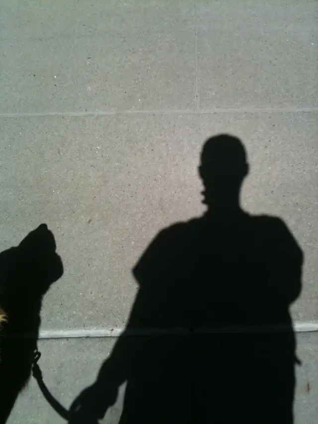Luke DogWalker — happy dog 56