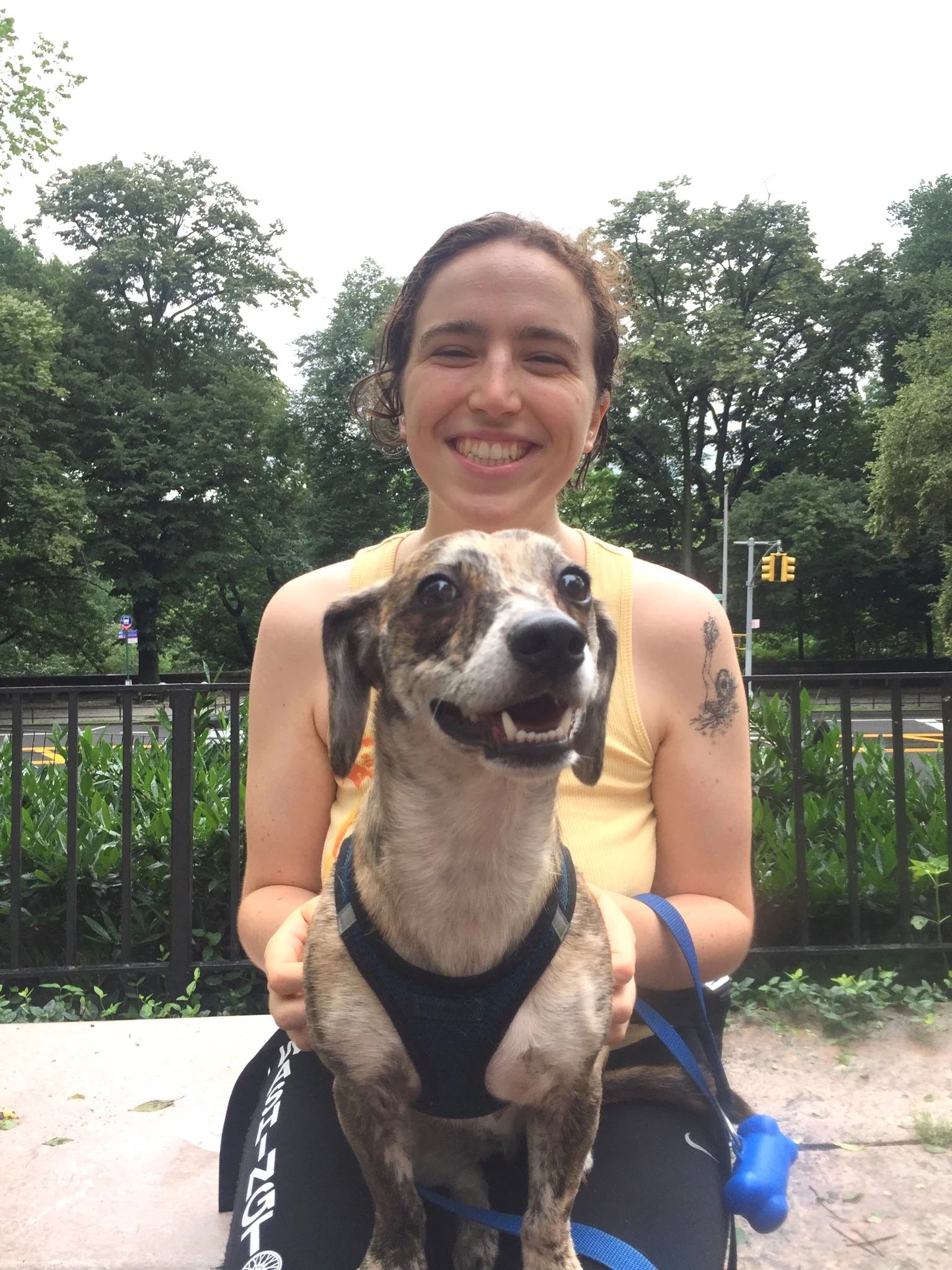 Emily J, Luke DogWalker dog walker